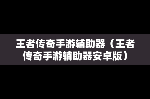 王者传奇手游辅助器（王者传奇手游辅助器安卓版）
