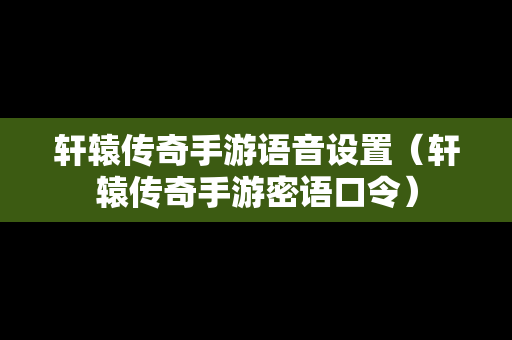 轩辕传奇手游语音设置（轩辕传奇手游密语口令）