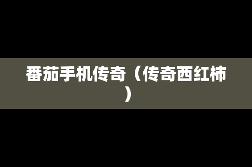 番茄手机传奇（传奇西红柿）