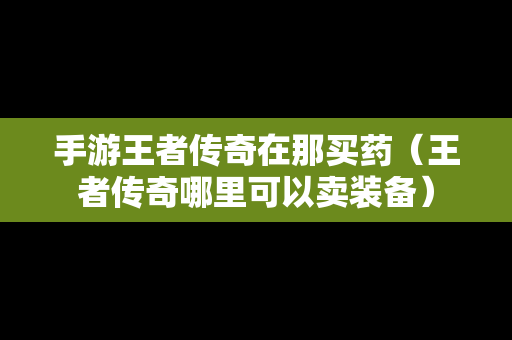 手游王者传奇在那买药（王者传奇哪里可以卖装备）