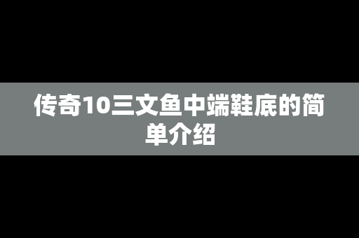 传奇10三文鱼中端鞋底的简单介绍