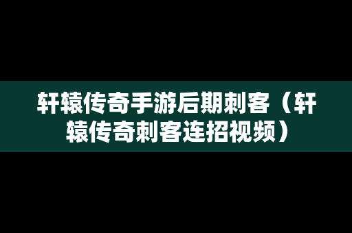 轩辕传奇手游后期刺客（轩辕传奇刺客连招视频）