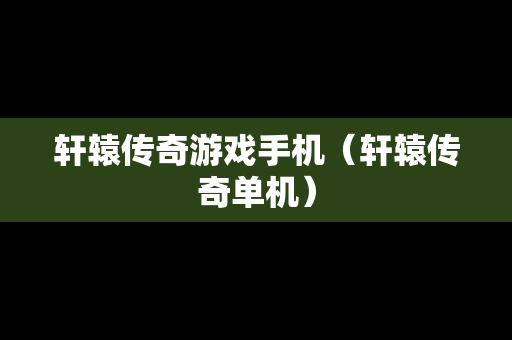 轩辕传奇游戏手机（轩辕传奇单机）