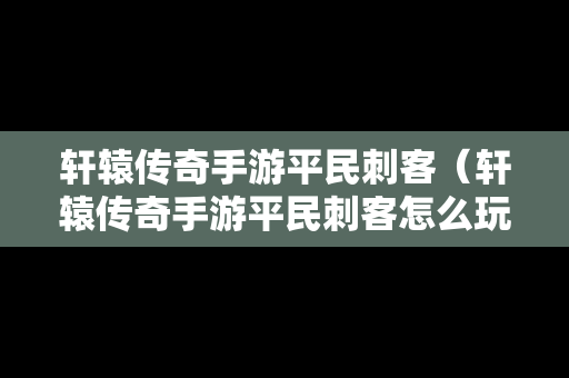 轩辕传奇手游平民刺客（轩辕传奇手游平民刺客怎么玩）